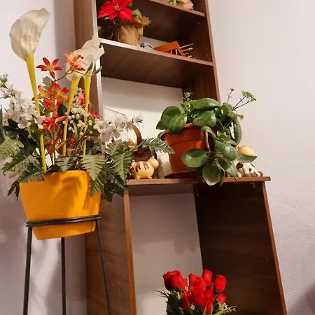 Апартаменты 2 Floors Duplex Modern *
